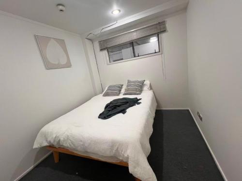 My nest in auckland city central 2 bedrooms big living room gym balcony,swiming pool
