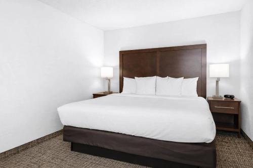 Comfort Suites Baymeadows Near Butler Blvd - image 33