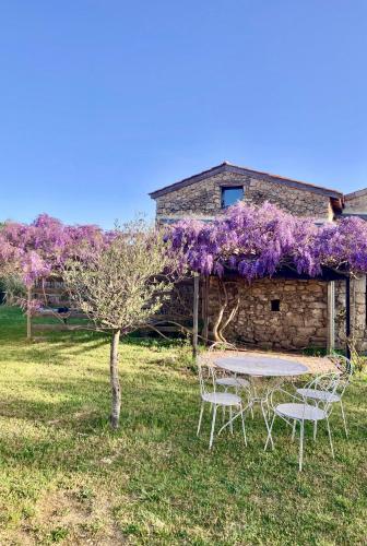 Maison en pierres avec piscine-4 pers-Nord Ardèche (Maison en pierres avec piscine-4 pers-Nord Ardeche) in Étables
