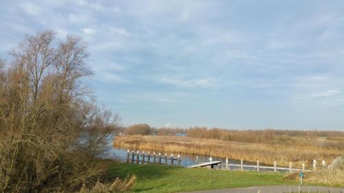 de Brabantse Biesbosch