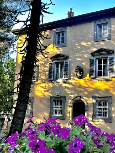Villa Amore Tuscany - Colle di Compito