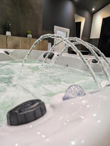 Spa, Gite de campagne avec SPA privatif in Lezay