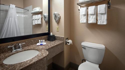 Best Western Plus Kalamazoo Suites