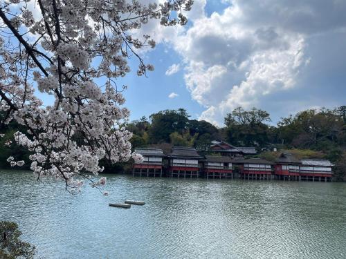 耀来YoRaiようらい in Nagaokakyo