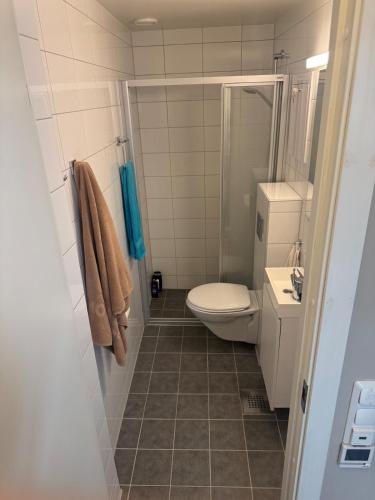 2-room apartment in Bjølsen in 薩基內