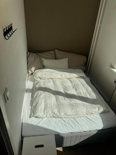 2-room apartment in Bjølsen in 薩基內