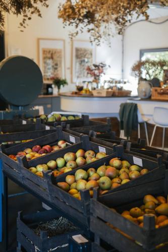 Eco Farm Camping 'de Waeldernis' in Texel