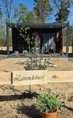 A szálláshely kívülről, Tinyhouse Alpakas Ruhe&Natur Lavendelnest Südburgenland (Tinyhouse Alpakas Ruhe&Natur Lavendelnest Sudburgenland) in Gerersdorf Bei Gussing