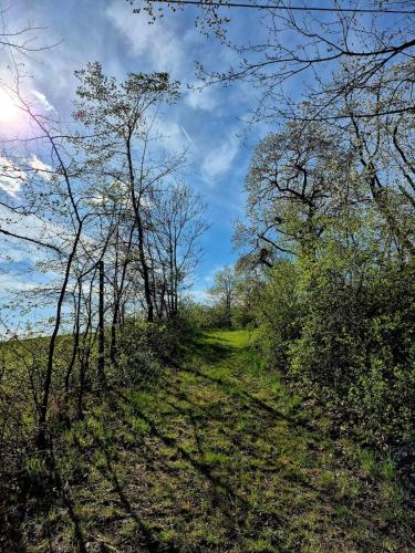 A környék, Tinyhouse Alpakas Ruhe&Natur Lavendelnest Südburgenland (Tinyhouse Alpakas Ruhe&Natur Lavendelnest Sudburgenland) in Gerersdorf Bei Gussing