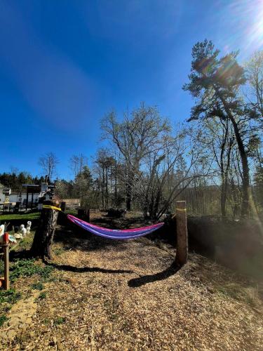 A környék, Tinyhouse Alpakas Ruhe&Natur Lavendelnest Südburgenland (Tinyhouse Alpakas Ruhe&Natur Lavendelnest Sudburgenland) in Gerersdorf Bei Gussing