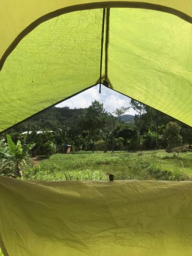 Minerva Garden Camping