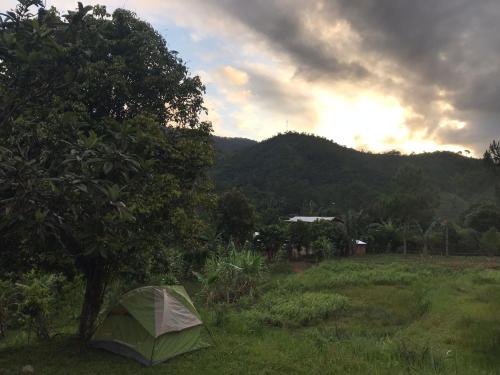 Minerva Garden Camping in Fianarantsoa