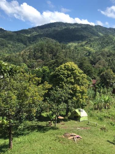 Minerva Garden Camping in Fianarantsoa