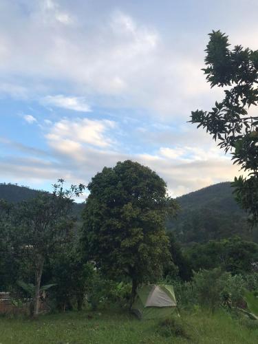 Minerva Garden Camping in Fianarantsoa
