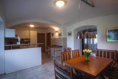 кухня, House Nizka & Apartments in Recica Ob Savinji