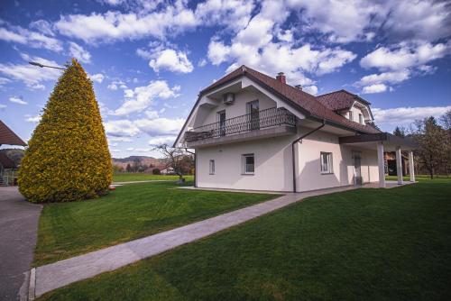Зовнішній вигляд готелю, House Nizka & Apartments in Recica Ob Savinji