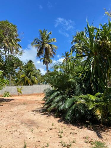 Aconchego&Lazer in Pontal Do Peba