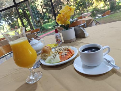Hotel Sancer in Villarrica
