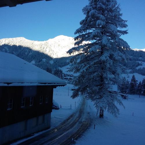Bunderbach, Adelboden (fotografie 9)
