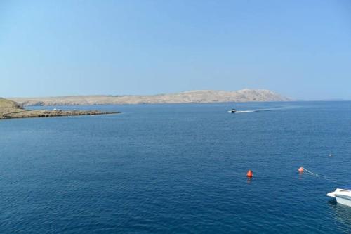 Apartment Stinica 26 E