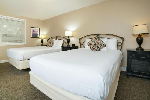 2 queen beds, 1 sofa bed
