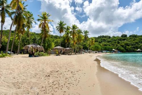 Villa Serena Water Island in Sent Tomas