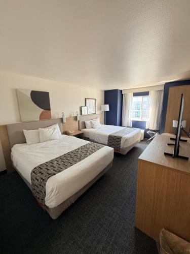 ไมโครเทล อินน์ แอนด์ สวีท บาย วินด์แฮม แอปเปิลตัน (Microtel Inn & Suites by Wyndham Appleton) in แอปเปิลตัน (WI)