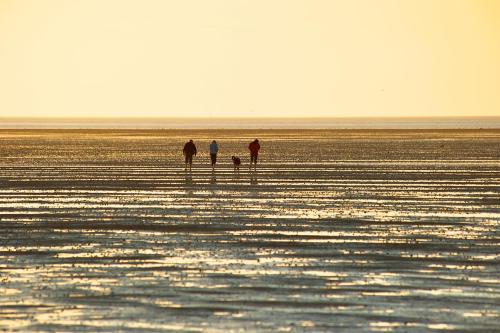 pludmale, Ferienhaus Nordwind in Wurster Nordseekuste