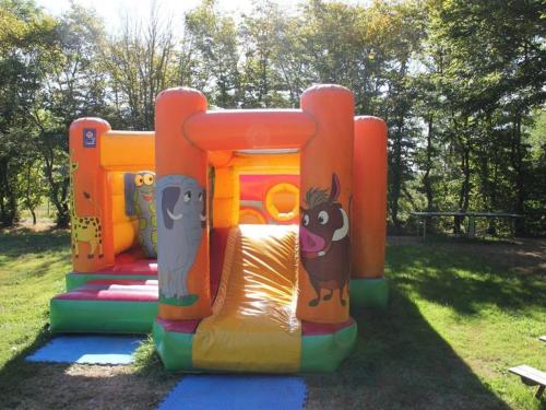 Mobil-home accueillant animaux - 6 pers. - API-1-52-2292 in St Reverend