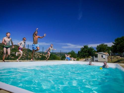 Chalet animaux OK - 5 pers. - API-1-52-2303 in Saint Georges De Luzencon