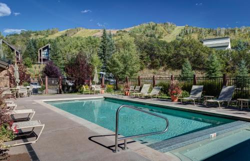 Bear Claw 515 - image 9