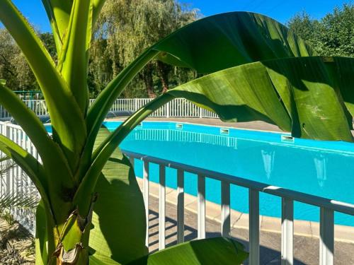 Mobil-home avec climatisation - 4 pers. - API-1-52-2539 in Monplaisant
