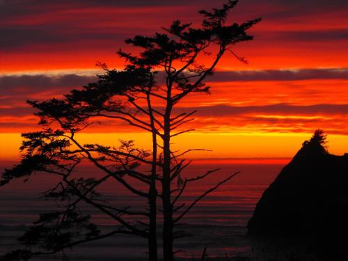 Agate Beach Motel – Newport, OR