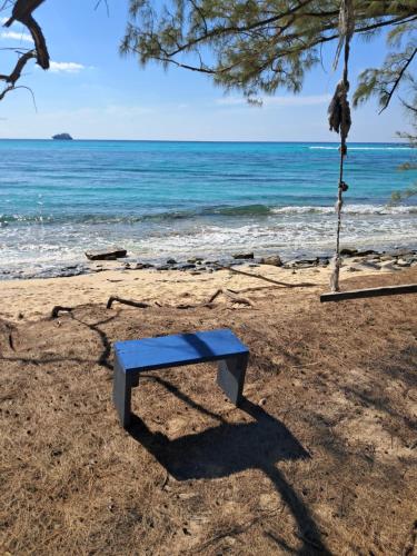 Small Cozy Rest #8 Efficiency in Port Royal