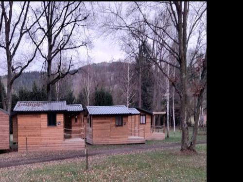 Mobil-home accueillant animaux - 4 pers. - API-1-52-2616 in Sauxillanges