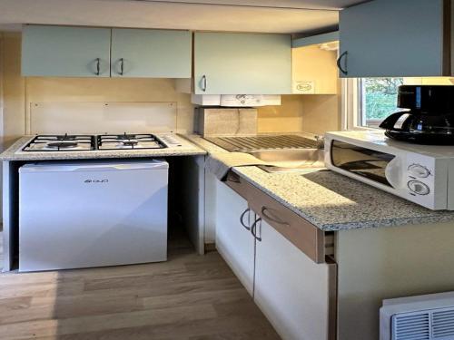 Mobil home, animaux admis - 3 pers. - API-1-52-2661 in Monplaisant