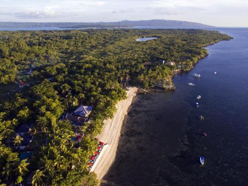 Exterior view, Cabilao Sanctuary Beach & Dive Resort in Loon
