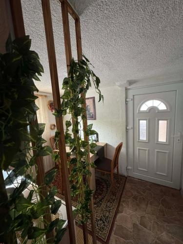 Apartman AMY in яйце