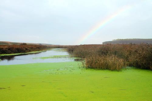  Hospedería de Alesves in Villafranca
