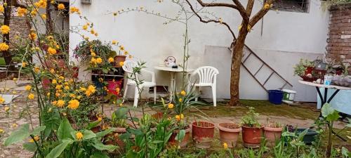 Enki's Garden, Tirana