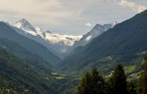 B&B Les Biolleys - image 14