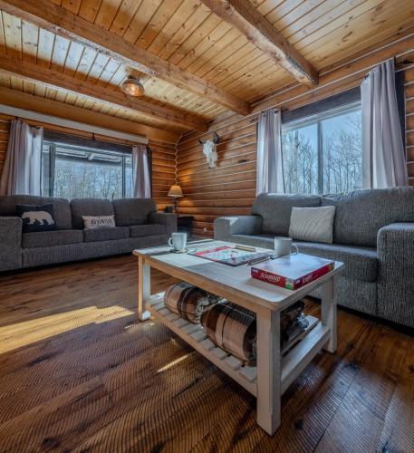 20 Mins To Ynp-cabin-pet Friendly in Island Park, USA