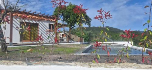 Dārzs, Casa CADI - Refúgio na Natrureza em Proença-a-Nova (Casa CADI - Refugio na Natrureza em Proenca-a-Nova) in Sobreira Formosa