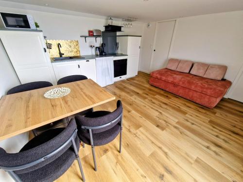 Room apartment with terrace - Location saisonnière - Aix-les-Bains