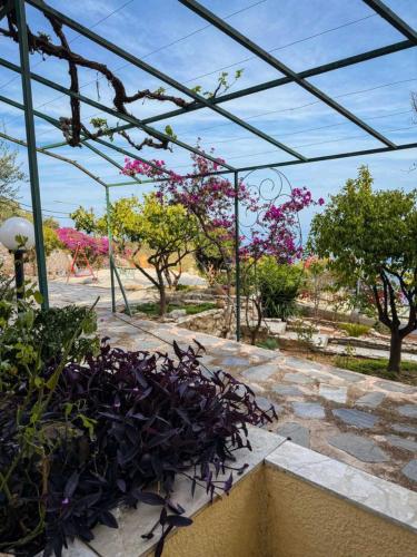 Sea View House A in ลิวาดี (ติรอส)