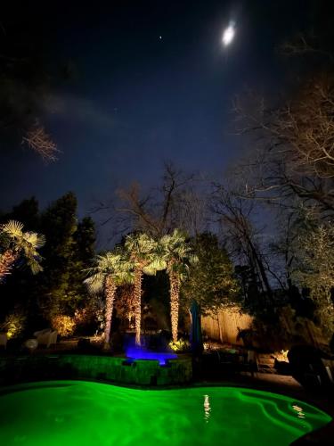 Atlanta Pools and Palms Paradise in Morningside-Lenox Park