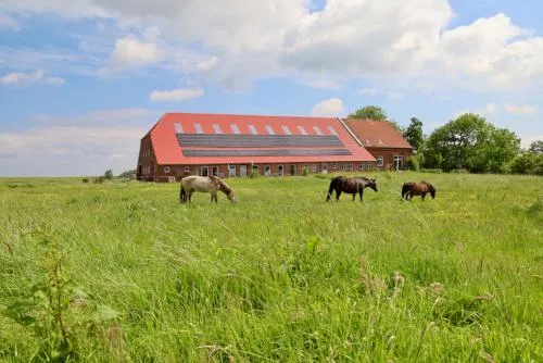 Sömmertied, Exklusive 4-Sterne-FeWo von 2024, Sonnenterrasse, eigener Zugang zur 150 m entfernten Nordsee in Neuharlingersiel, Deutschland