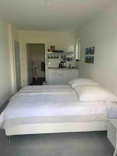 Studio mit Alpenblick und privaten Terrasse in Kleinweil, Deutschland