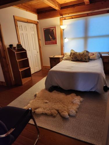 Cowgirl Palace Room Type - Twin Room with Shared Bathroom