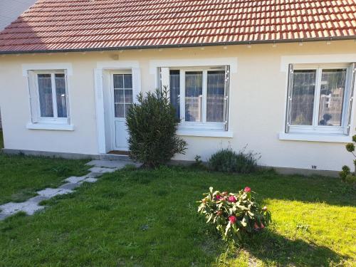 Gîte La Bracilienne gîte à louer Fontaines-en-Sologne